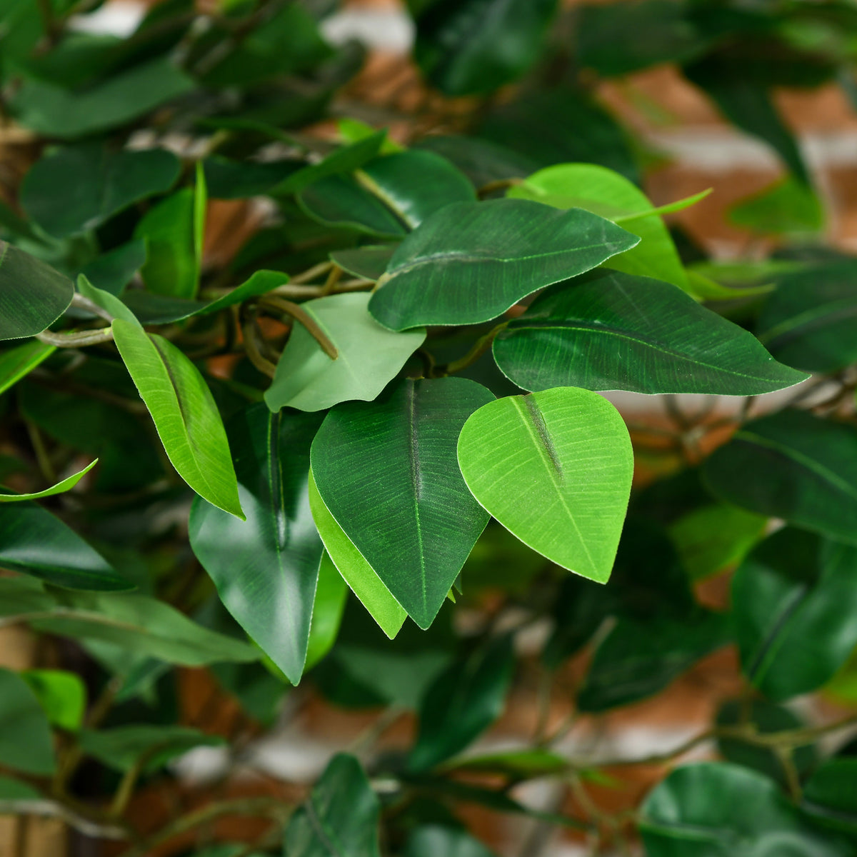 HOMCOM Set mit 2 künstlichen Ficus-Pflanzen 1,80 m hoch Stamm Äste Liane Moosblätter sehr realistisch inklusive Topf Grün